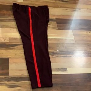 Express dress pants